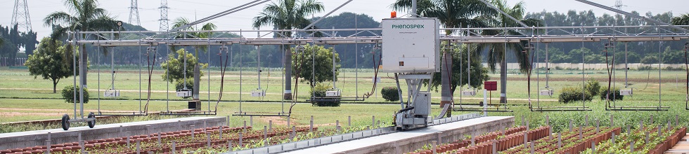 field phenotyping Fieldscan with up to 20 PlantEye scans thousands of plants per hour