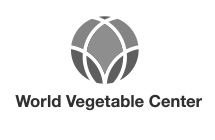 Word Vegetable Center Grey Small